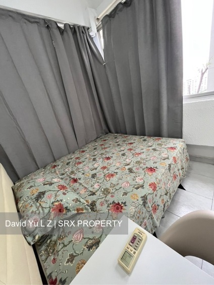 Balestier Plaza (D12), Apartment #492579091
